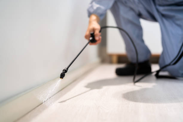 Certified termite inspector examining foundation in Fountain Valley