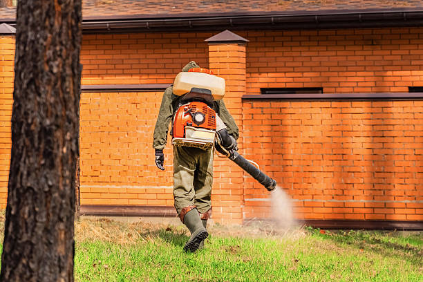 Top rated local Mosquito Control specialists in Fountain Valley, CA